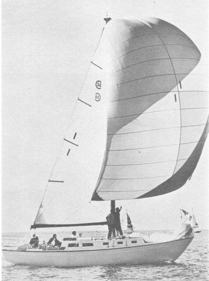 CAL CRUISING 36