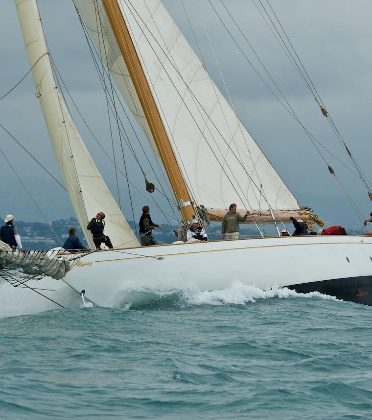CAMBRIA 40