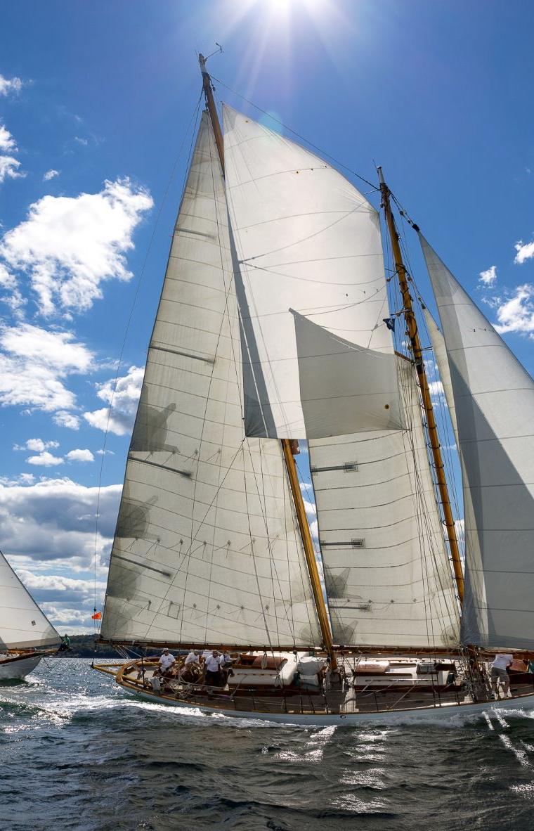 CAMDEN CLASS