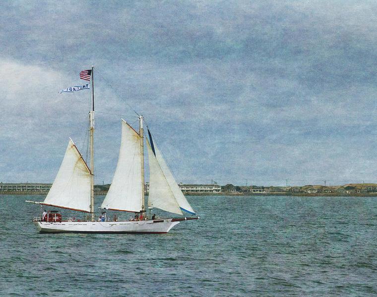 CAPE COD 30