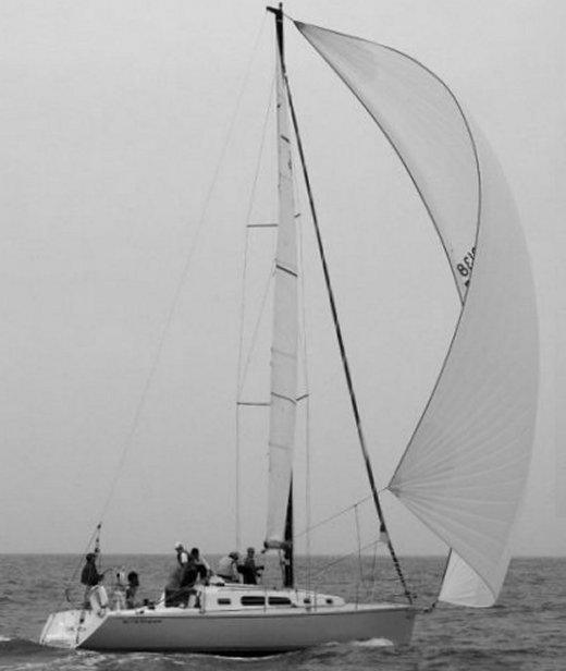 CAPE FEAR 38