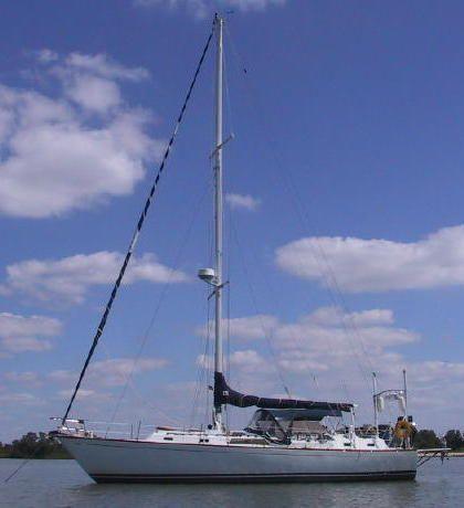 CARIB 41