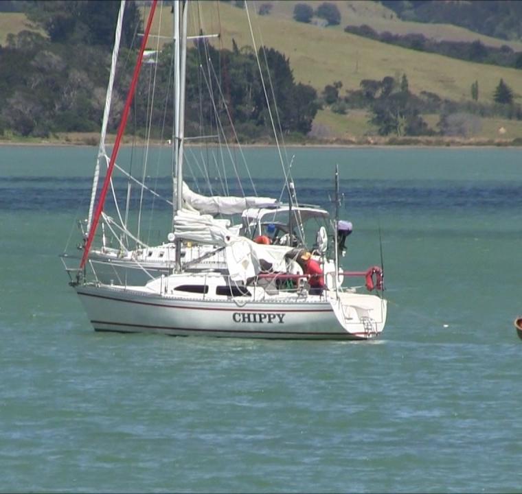 CARPENTER 29