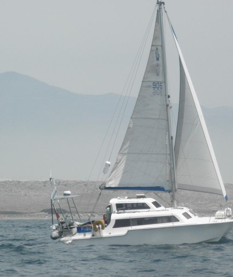 CATALAC 11M