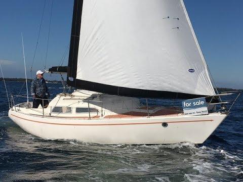 CAVALIER 26