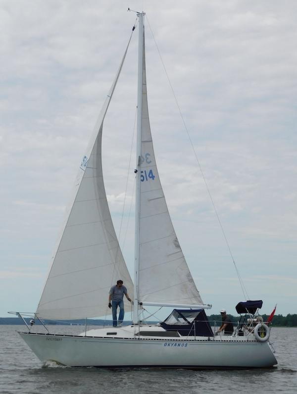C&C 29