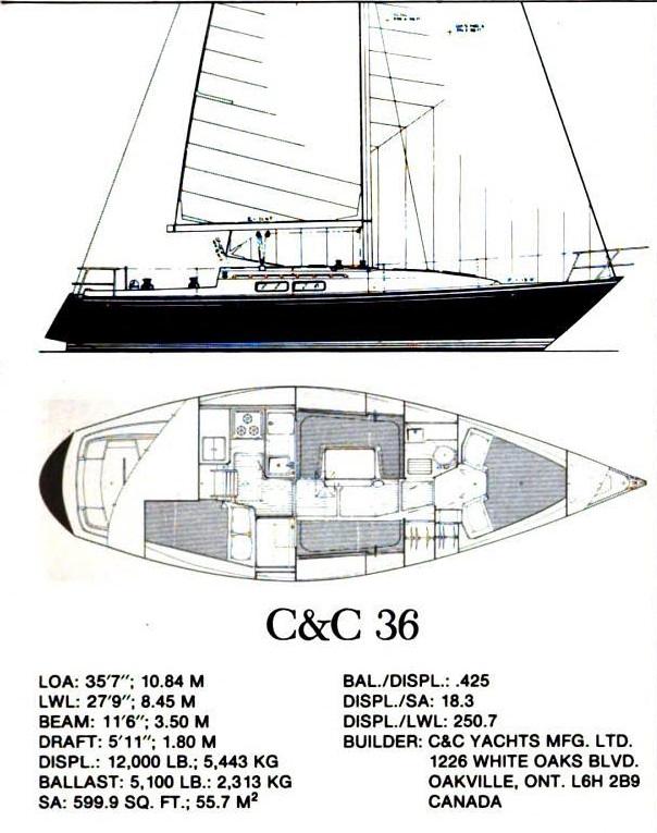 C&C 36-1