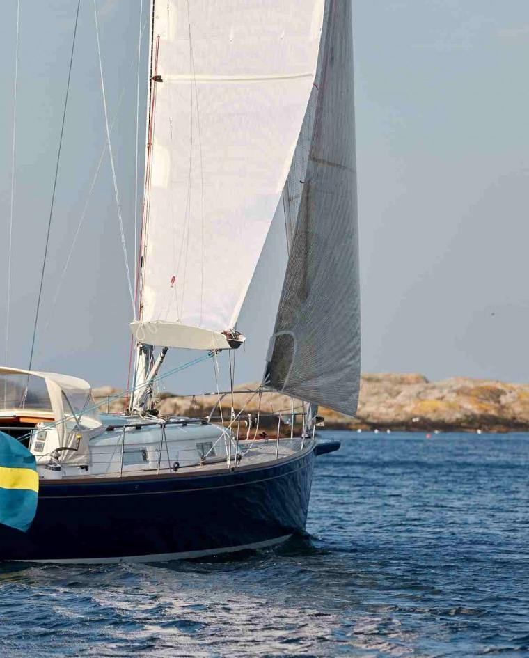 CELESTE 36