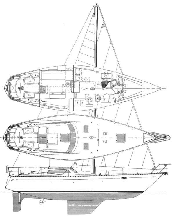CHASER 29