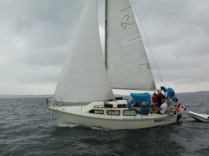 CHEETAH 26 (MONK)