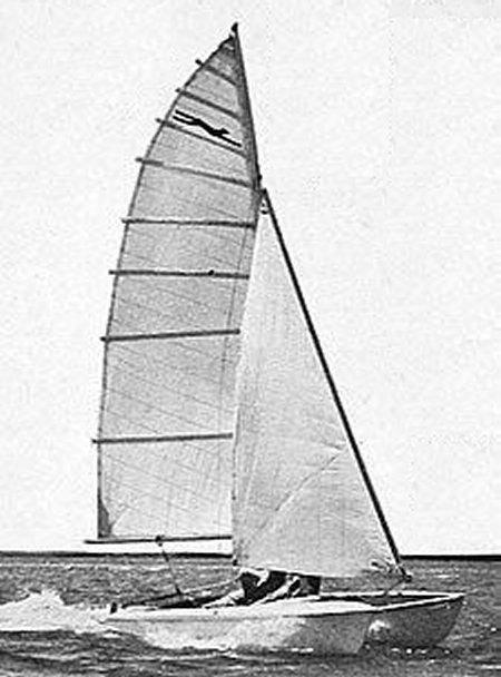 CHEETAH 30