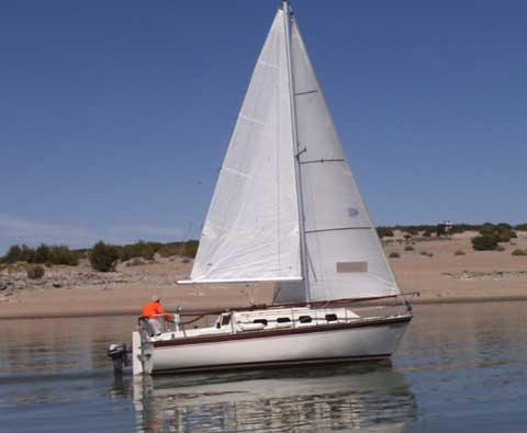 CLASSIC 26