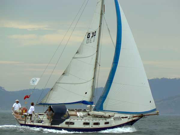 CLASSIC 31