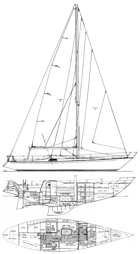 COLE 43