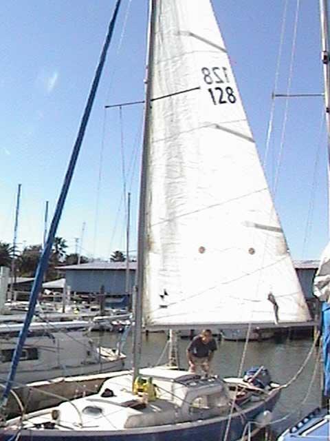 COLUMBIA 24 CONTENDER