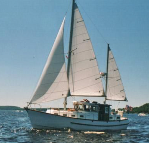 COMFORT 38 MS (MONK JR.)