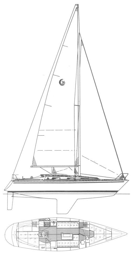 COMFORTINA 36