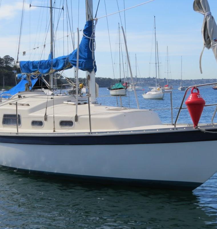 COMPASS 29