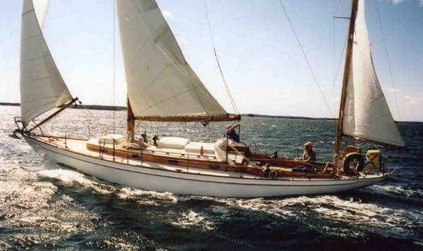 CONCORDIA 40