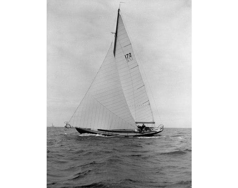 CONCORDIA 41