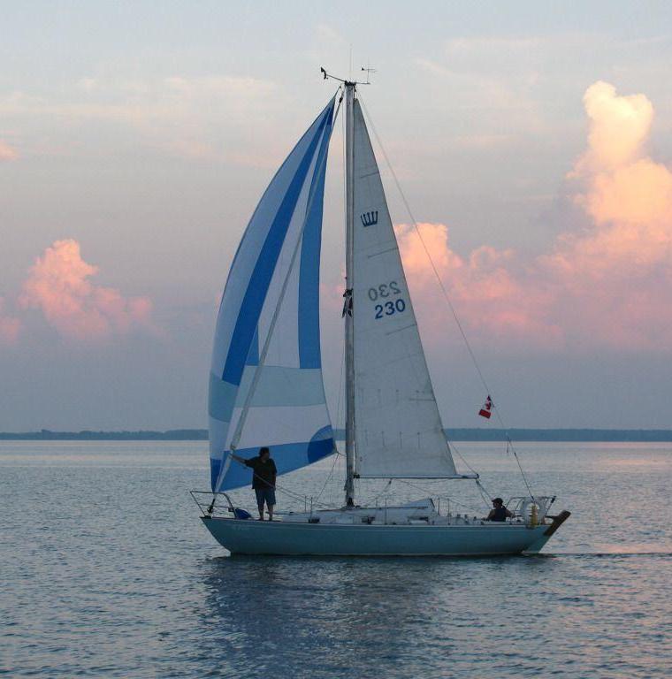 CONTESSA 26