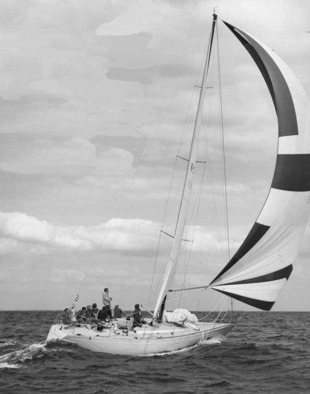 CONTESSA 43