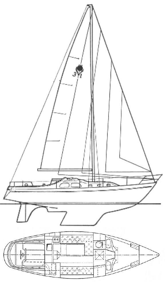 CONTEST 31