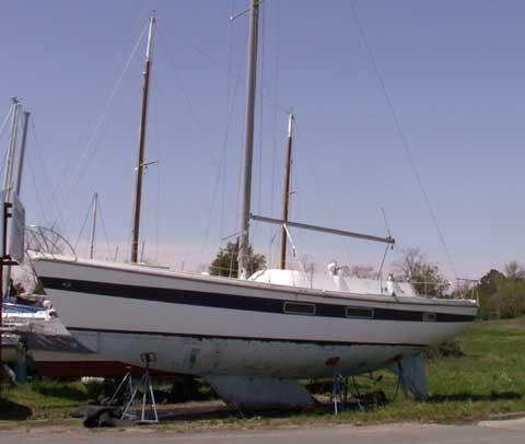 CORONADO 41