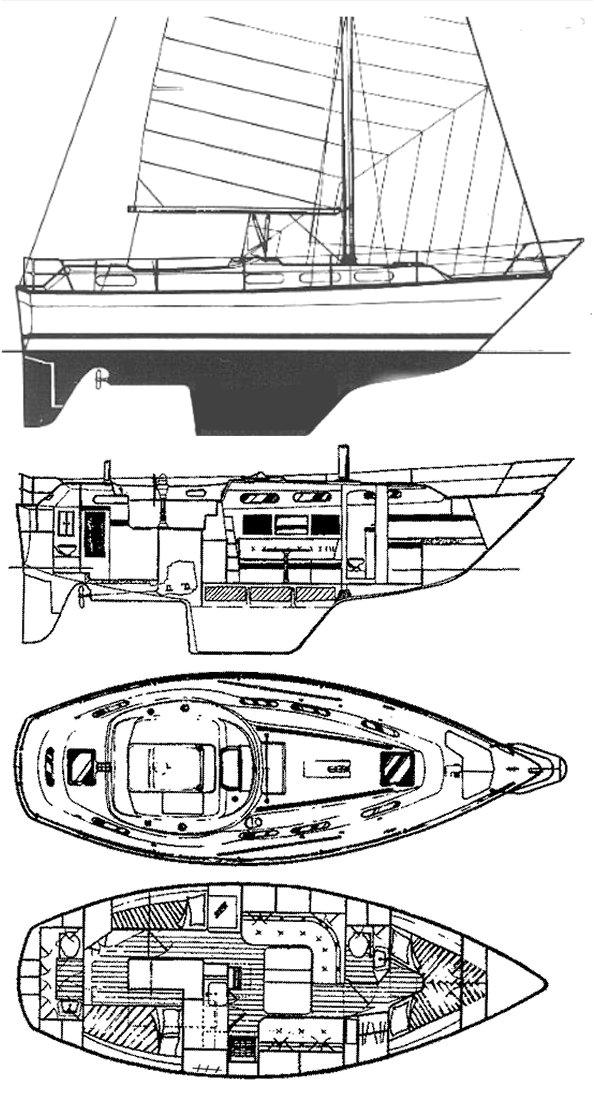 COUNTESS 33 (COLVIC)