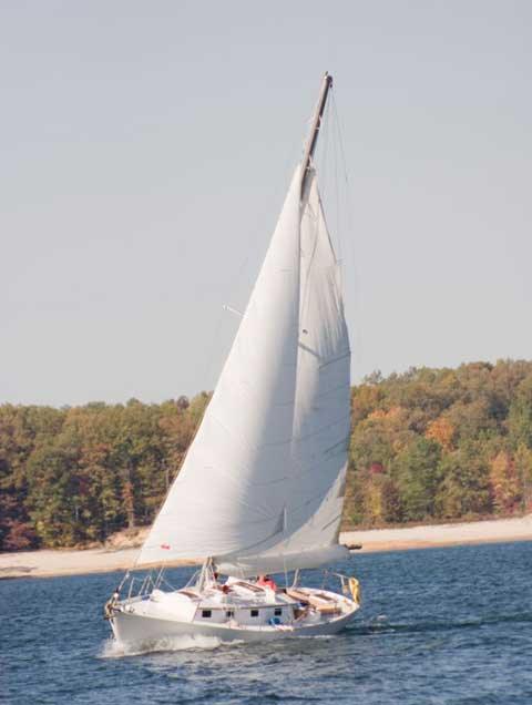 CREEKMORE 20