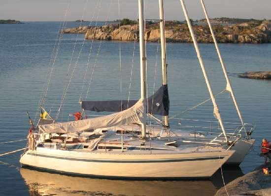 CROWN 31
