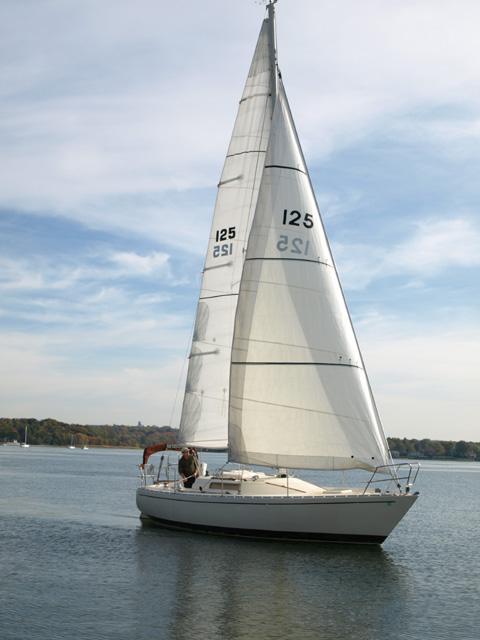 CUMULUS 28 (ALBIN)