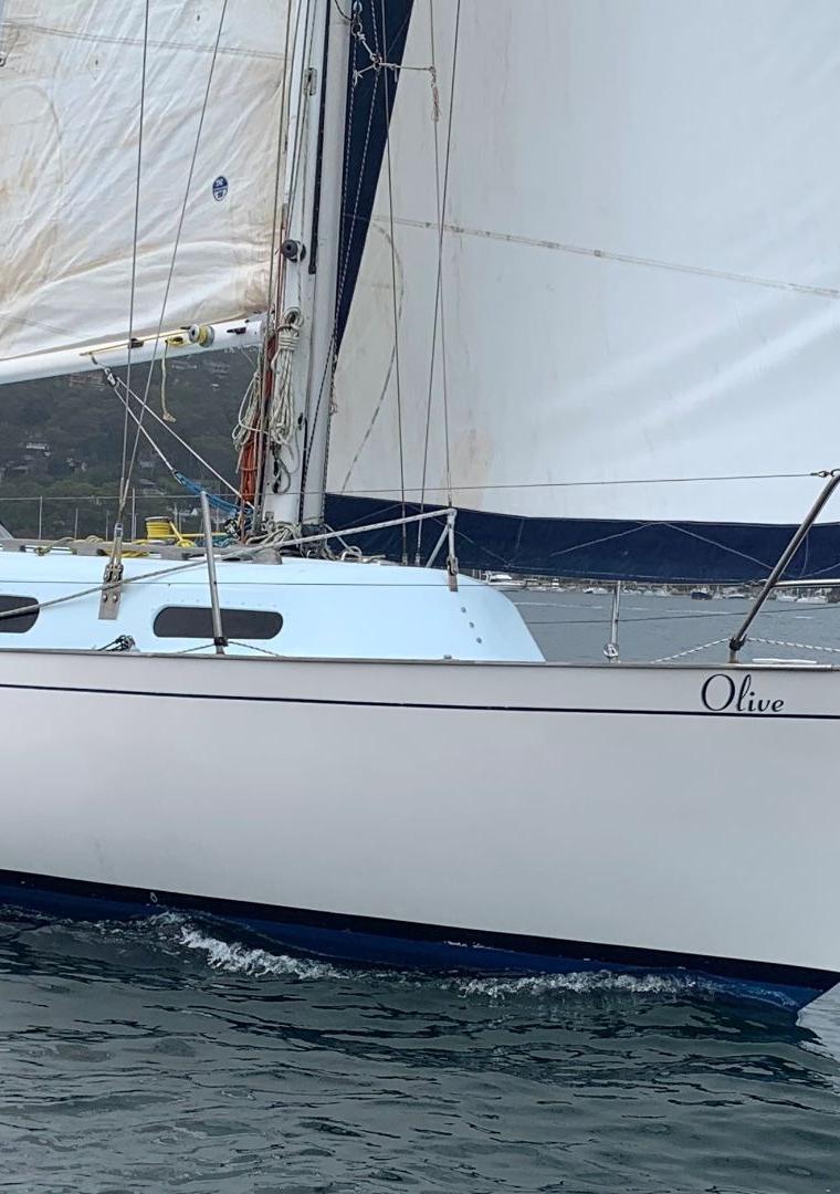 CURRAWONG 30