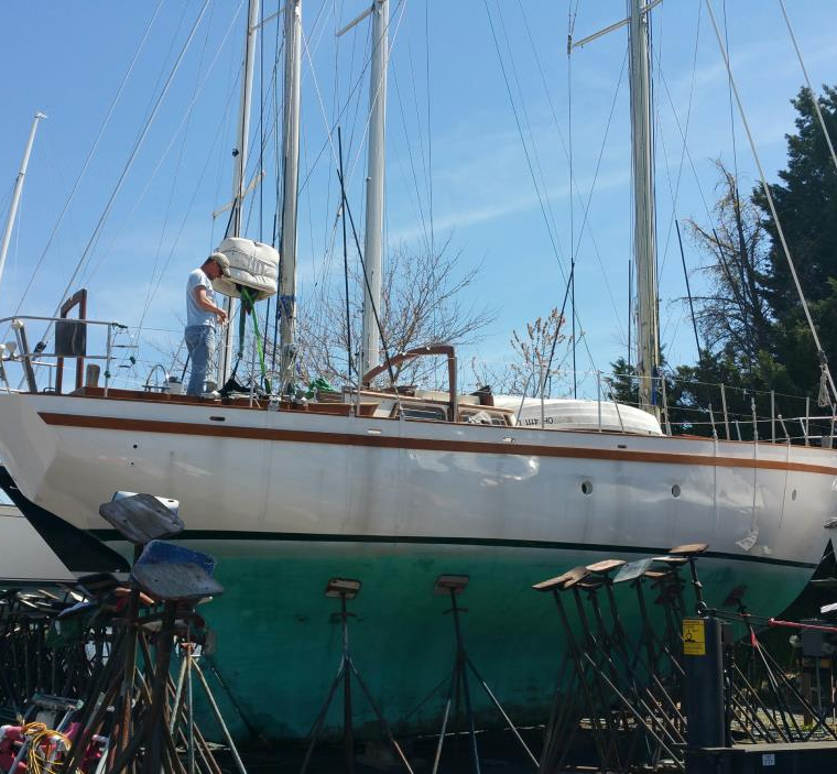 CUTTYHUNK 41