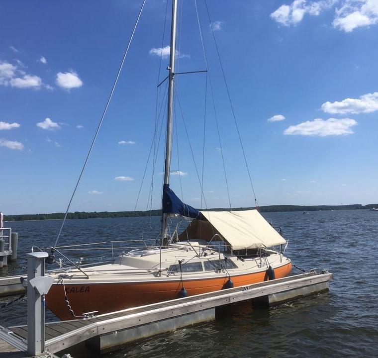 DELANTA 80 (DEHLER)