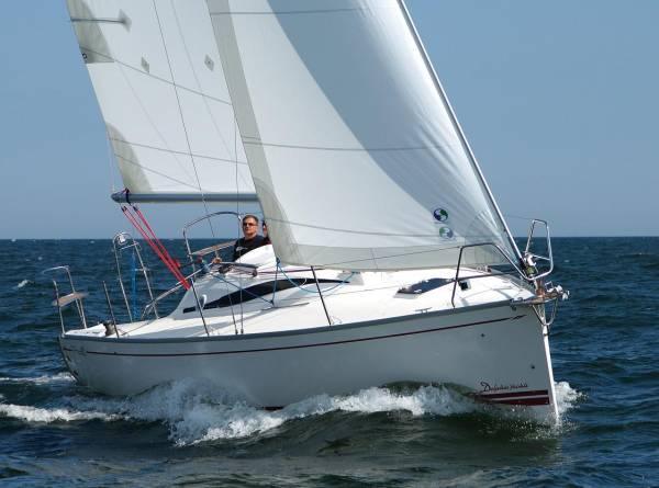 DELPHIA 29 (2014-2018)