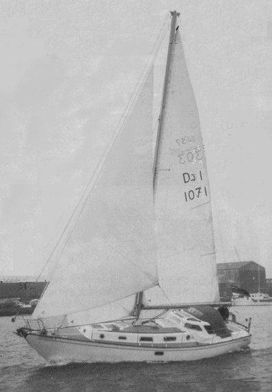 DOCKRELL 37