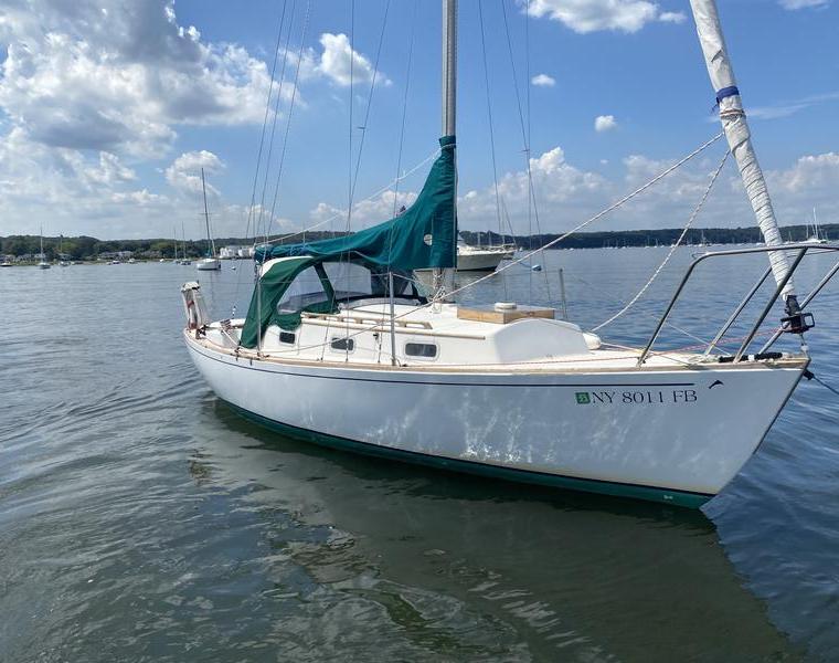 DOLPHIN 25 (HELMS)