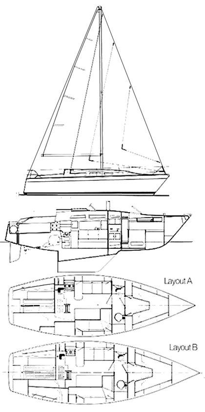 DOLPHIN 31
