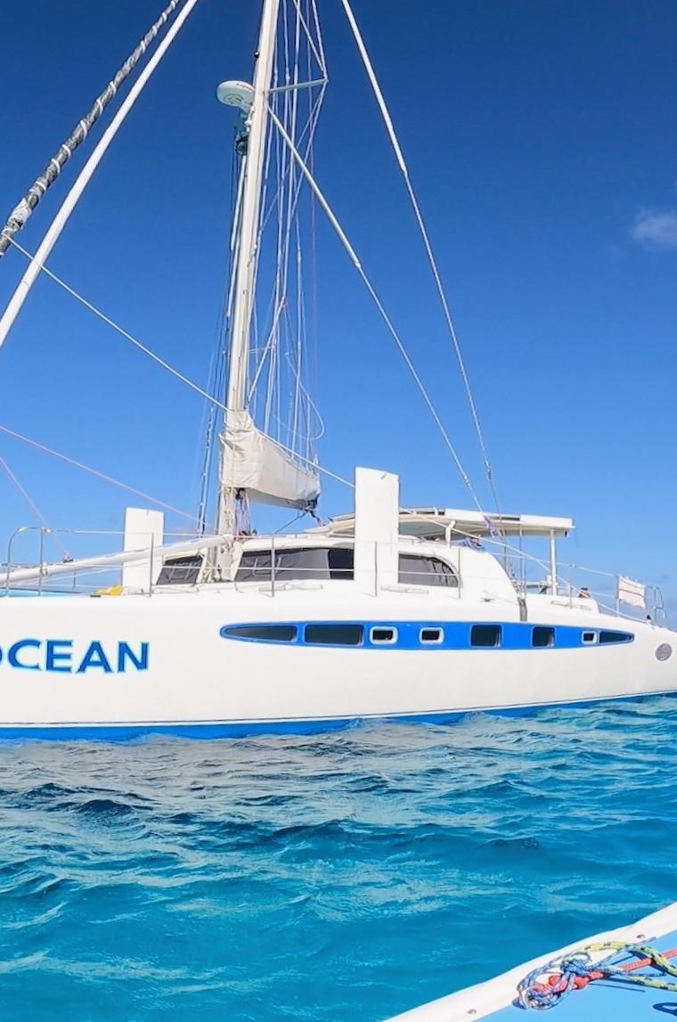 DOLPHIN 460