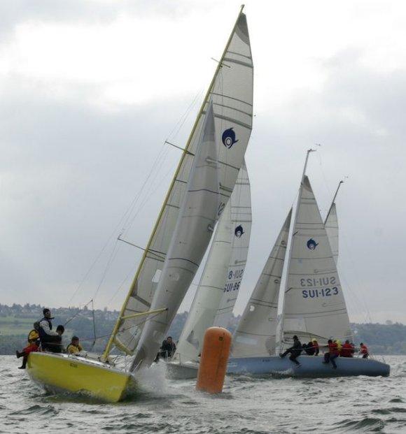 DOLPHIN 81