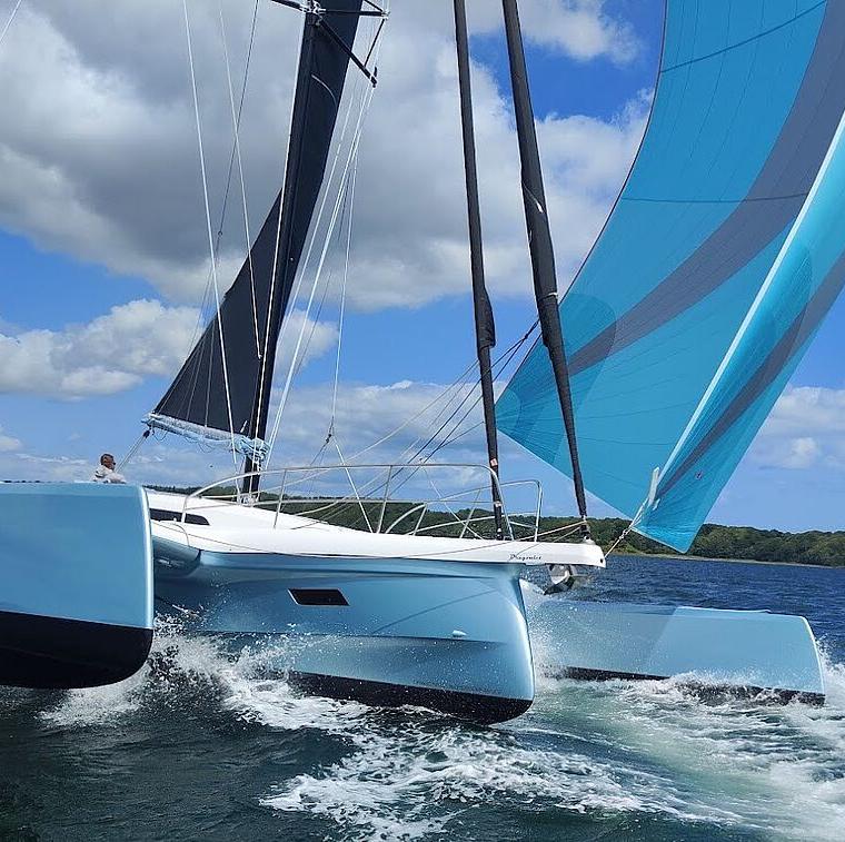 DRAGONFLY 36