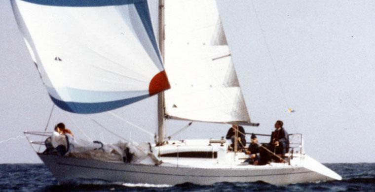 DUCK 31