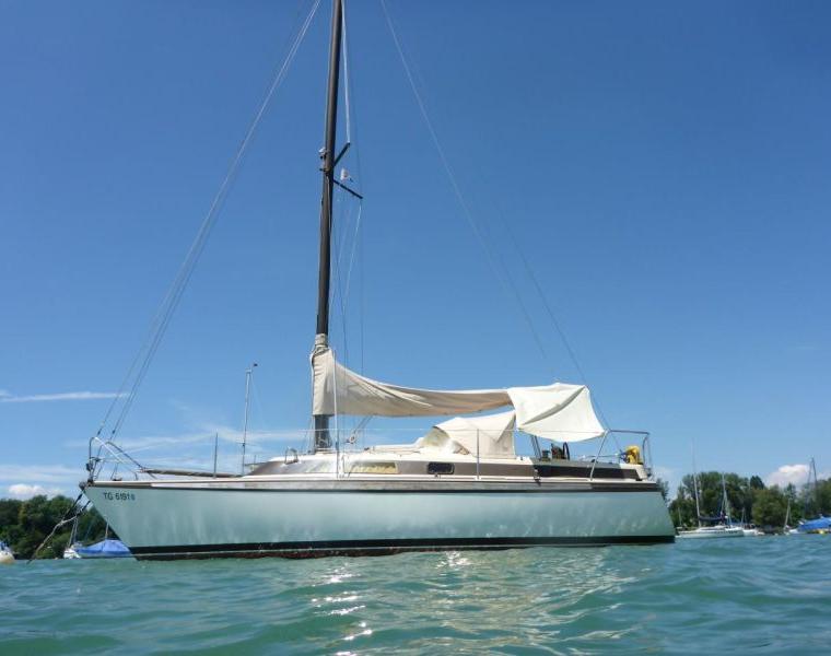 DUETTA 86 (DEHLER)