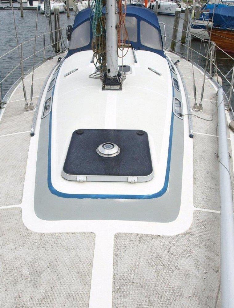 DYNAMIC 37