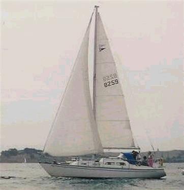 EASTERLY 30 (BRENNAN)