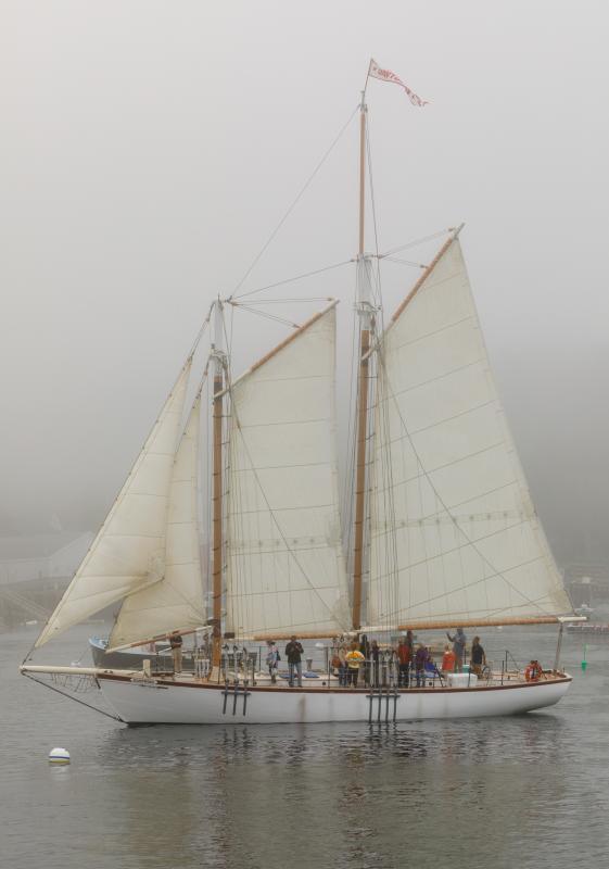 EASTWIND 44
