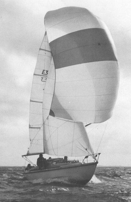 EDEL 3