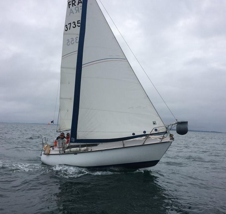 EDEL 730