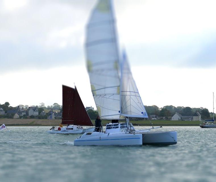 EDEL CAT 26